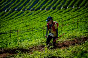 BIB: 
                            <button type="button" onclick="openModal(19160688)" class="btn btn-primary btn-sm float-right btn-popup" data-toggle="modal" data-target=".modal-high-quality">
                        <i class="fas fa-shopping-cart"></i> Add to Cart
                    </button>
                                            <button type="button" onclick="isThisMe(19160688, true)" class="btn btn-success btn-sm float-right btn-popup btn-isme hidden" data-toggle="tooltip" data-placement="bottom" title="นี่คือรูปของคุณใช่ไหม คลิกที่นี่เพื่อเอาเข้าอัลบั้ม">
                        <i class="fas fa-plus"></i> Add to album
                    </button>
                    <button type="button" onclick="isThisMe(19160688, false)" class="btn btn-warning btn-sm float-right btn-popup btn-isnotme hidden">
                        <i class="fas fa-ban"></i> Remove from album
                    </button>